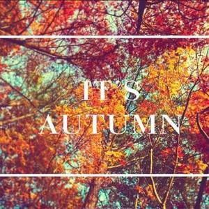 Meet your Posher, Diaz